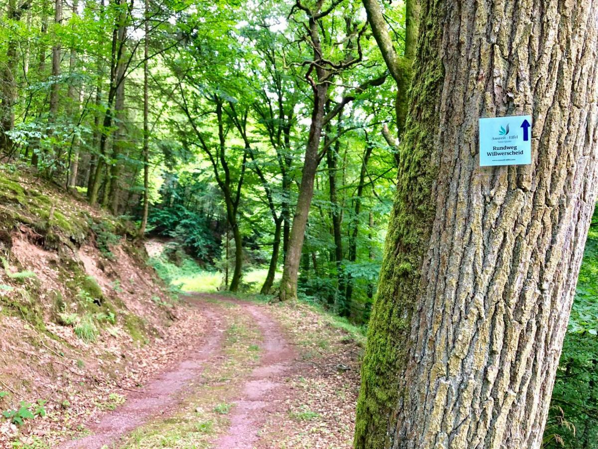 Willwerscheid Auszeit-Eifel Eifelhaus "Burgass 1807" Sauna & Badezuber מראה חיצוני תמונה